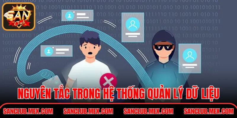 Nguyên tắc trong hệ thống quản lý dữ liệu